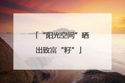 “阳光空间”晒出致富“籽”